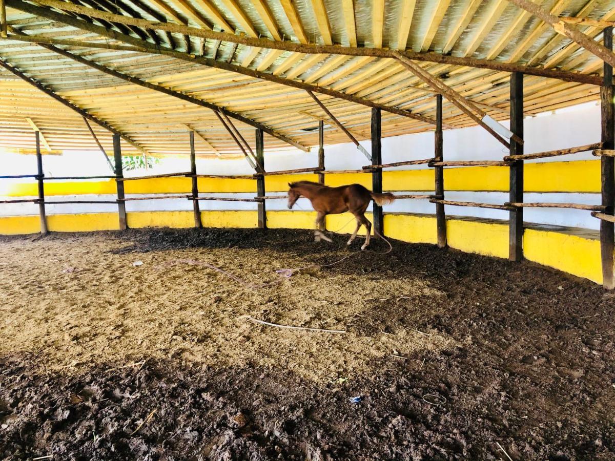 Cabanas El Pajar Zacatlán Exterior foto